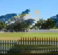 Cootamundra Cricketing Exploration - South Australia Travel