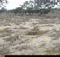 Culgoa Connellys Track - South Australia Travel