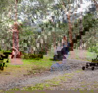 Currawong Bush Park - South Australia Travel