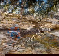 Cycle Mogo State Forest - South Australia Travel
