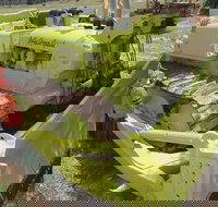 Dardanup Heritage Park - South Australia Travel