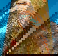 Deniliquin Water Tower Mural - South Australia Travel