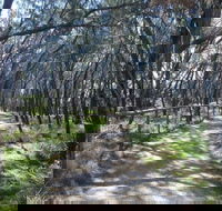 Federation Walk - South Australia Travel