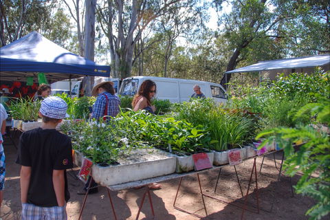 Fernvale Country Markets - South Australia Travel 0
