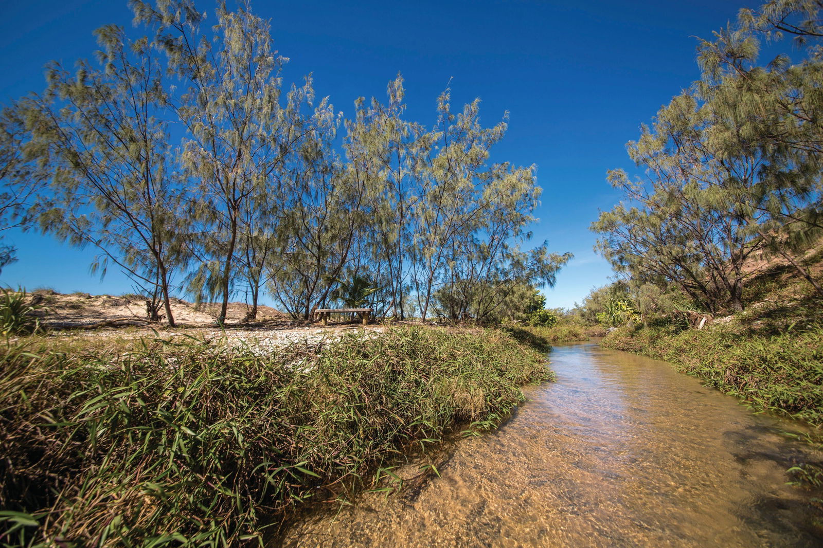 Farnborough QLD South Australia Travel