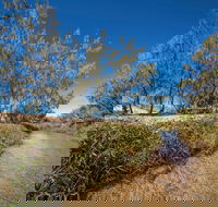 Freshwater Creek Track Byfield National Park - South Australia Travel