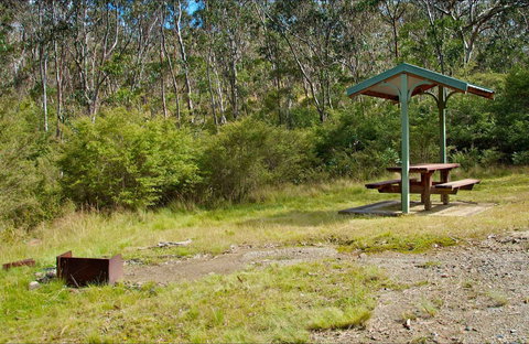 Gloucester Tops Picnic Area - South Australia Travel 0