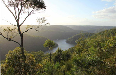 Great North Walk - Berowra Valley National Park - South Australia Travel 0