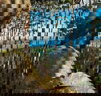 Gulaga Mountain Walk - South Australia Travel