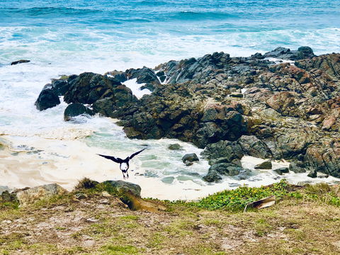 Hastings Point Beach - South Australia Travel 2