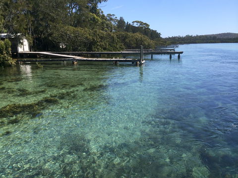 Kayaking Tomaga River - South Australia Travel 1