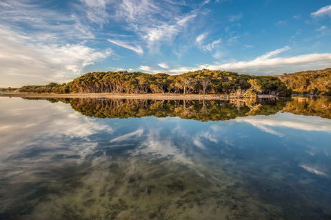 Lashmar Conservation Park - South Australia Travel 0