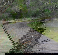 Leschenault Peninsula Conservation Park - South Australia Travel