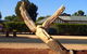Loxton Tree Sculptures - thumb 0