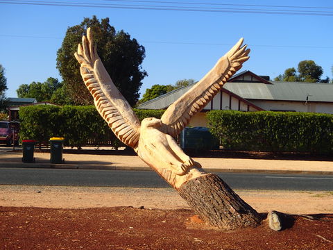 Loxton Tree Sculptures - South Australia Travel 0