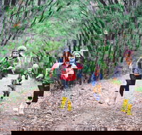 Margaret River Rails Trail - South Australia Travel