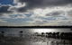 Marine Parade (Hastings Foreshore Reserve) Circuit - Cycling - thumb 0