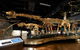 Melbourne Museum - thumb 1