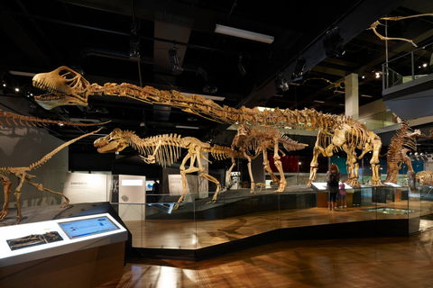 Melbourne Museum - South Australia Travel 1