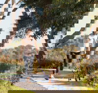 Meningie Walking and Cycling Trails - South Australia Travel