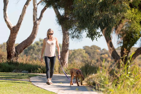 Meningie Walking And Cycling Trails - South Australia Travel 0