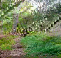 Meroo Lake walking track - South Australia Travel