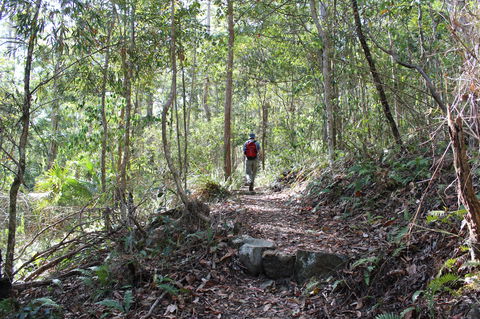 Morelia Walking Track, D'Aguilar National Park - South Australia Travel 1