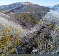 Mt Buller Bike Park - South Australia Travel