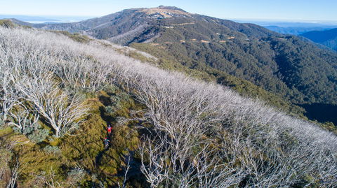 Mt Buller Bike Park - South Australia Travel 0