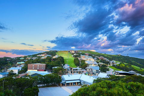Mt Buller Bike Park - South Australia Travel 2
