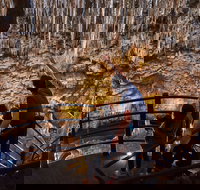 Ngilgi Cave - South Australia Travel