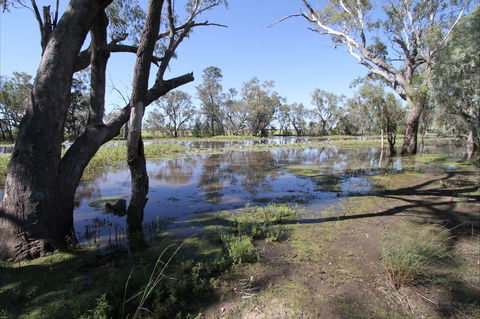 North Western Fishing Trail - South Australia Travel 2