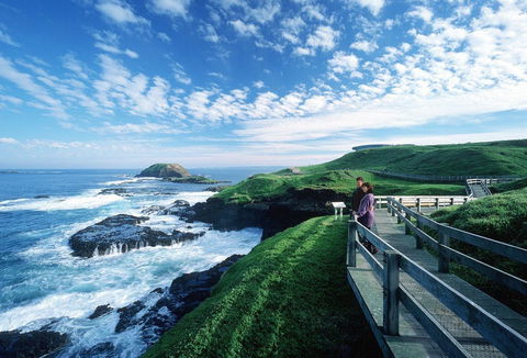 Phillip Island - South Australia Travel 1