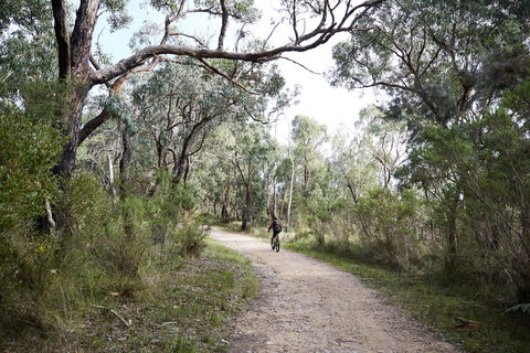 Pink Line And Loop Trail - Mountain Biking - South Australia Travel 1
