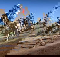 Quorn - South Australia Travel