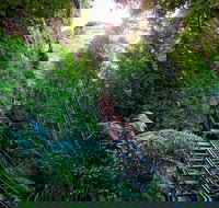 Scenic World Blue Mountains - South Australia Travel