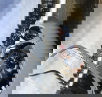 Southern Tablelands Gliding Club - South Australia Travel