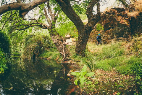 Sturt Gorge Recreation Park - South Australia Travel 1