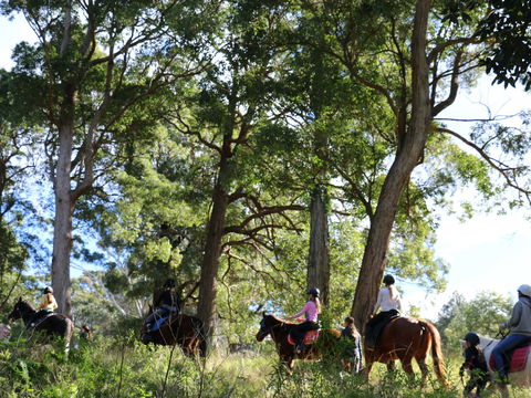 The Outlook Riding Academy - South Australia Travel 0