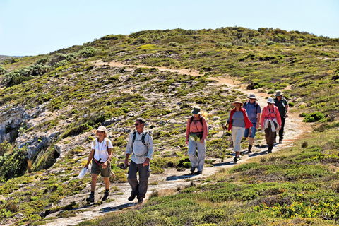 The Sole Walk At Hillocks Drive - South Australia Travel 0