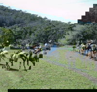 Timbertops - Horse Riding - South Australia Travel