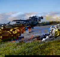 Tourist Drive 28 - Hinterland - South Australia Travel