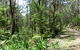 Tyers Park - thumb 0
