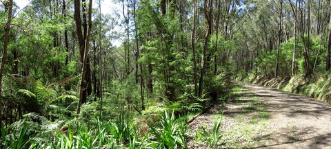 Tyers Park - South Australia Travel 0