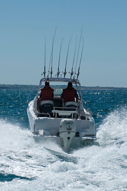 Western Port - South Australia Travel 1