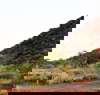 Whyalla Conservation Park - South Australia Travel