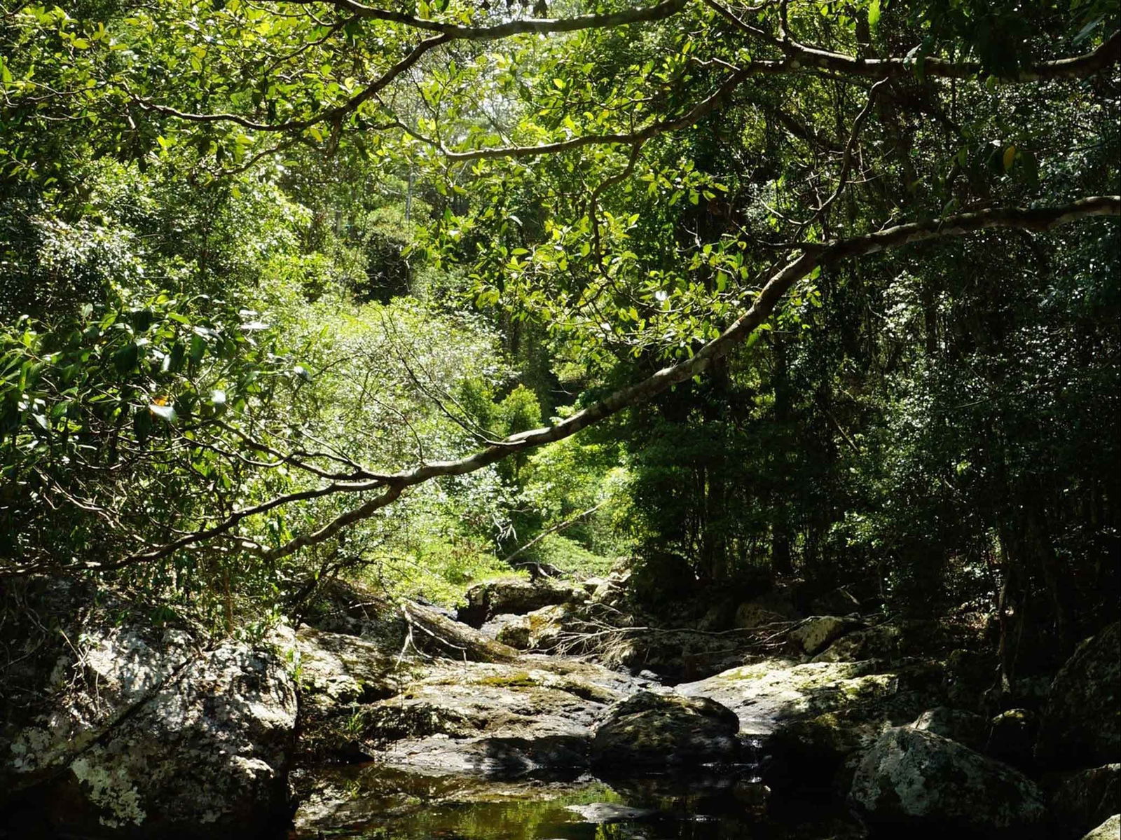 Witta QLD South Australia Travel