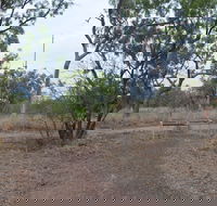 Alexander Forest Memorial - South Australia Travel