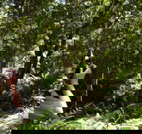 Alfred National Park - South Australia Travel