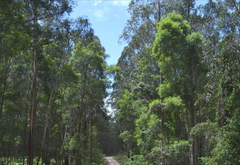 Alfred National Park - South Australia Travel 1